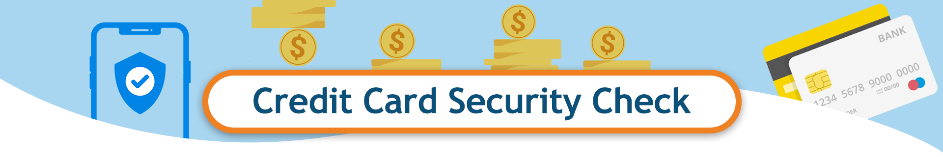 Credit Card Security Check