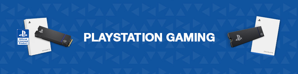 Playstation Gaming