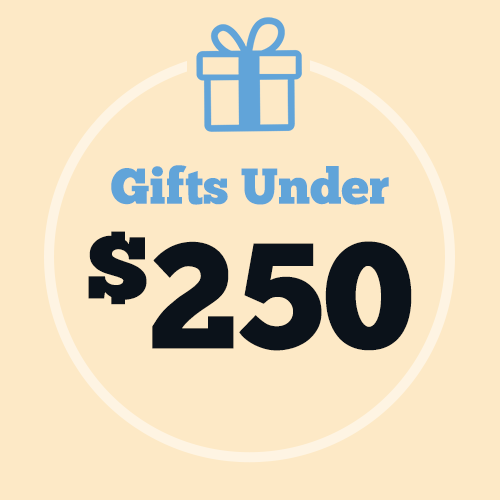 Fathers Day Gifts Under $250