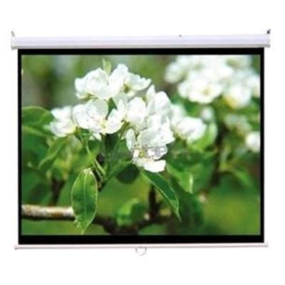 Projector Screens