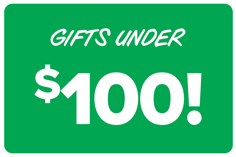 Christmas gifts under $100