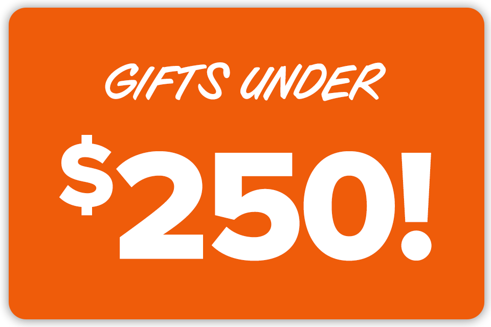 Christmas gifts under $250