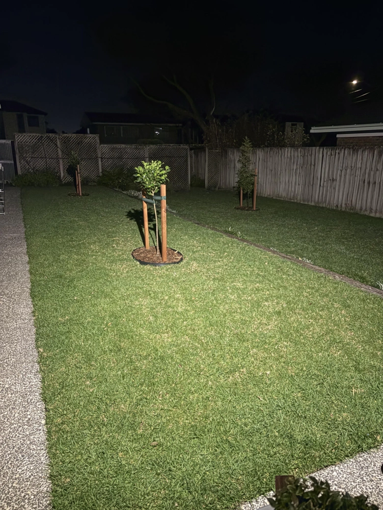 Product Page Review Image