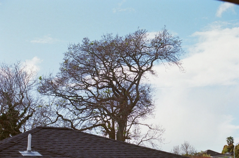 Product Page Review Image