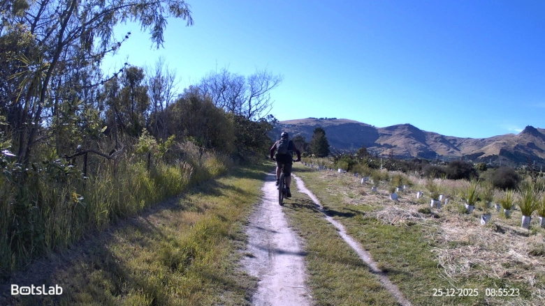 Product Page Review Image