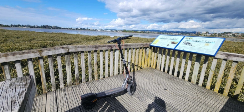 Product Page Review Image