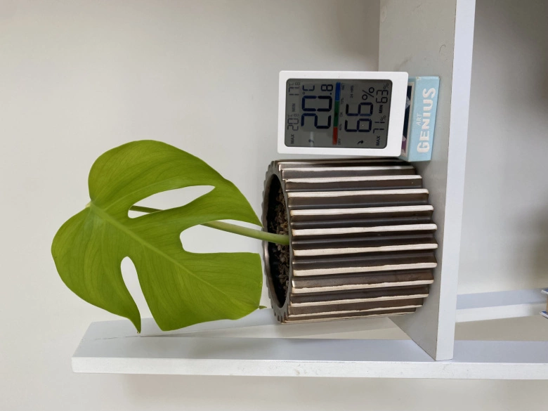 Product Page Review Image