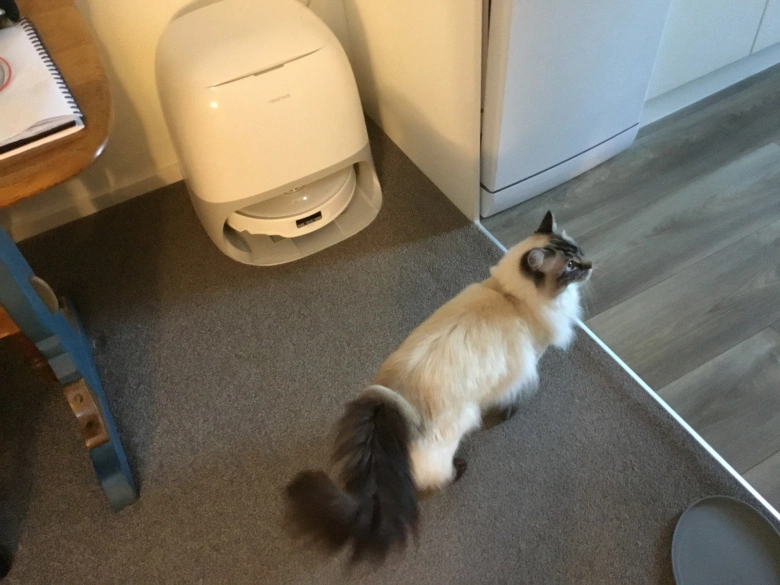 Product Page Review Image