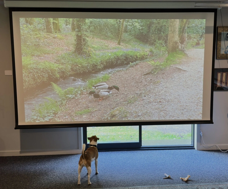 Product Page Review Image