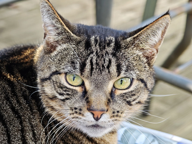 Product Page Review Image