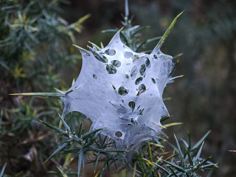 Product Page Review Image