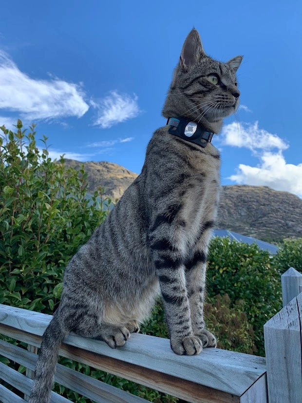 Product Page Review Image