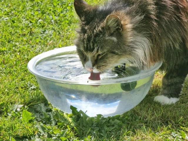 Product Page Review Image