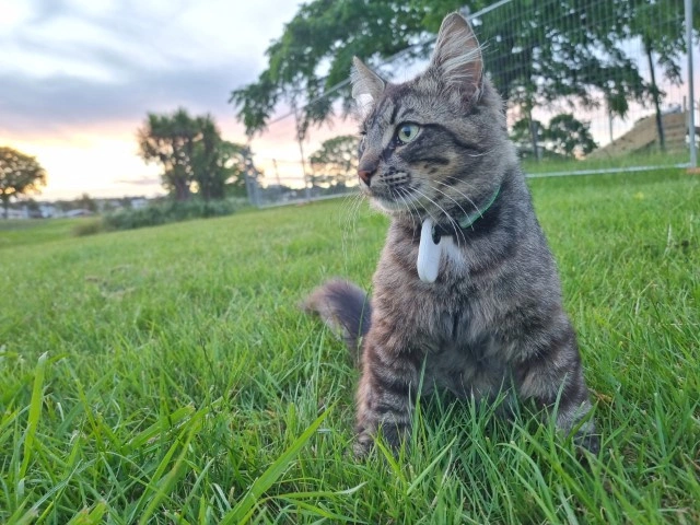 Product Page Review Image