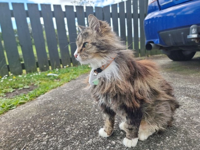 Product Page Review Image