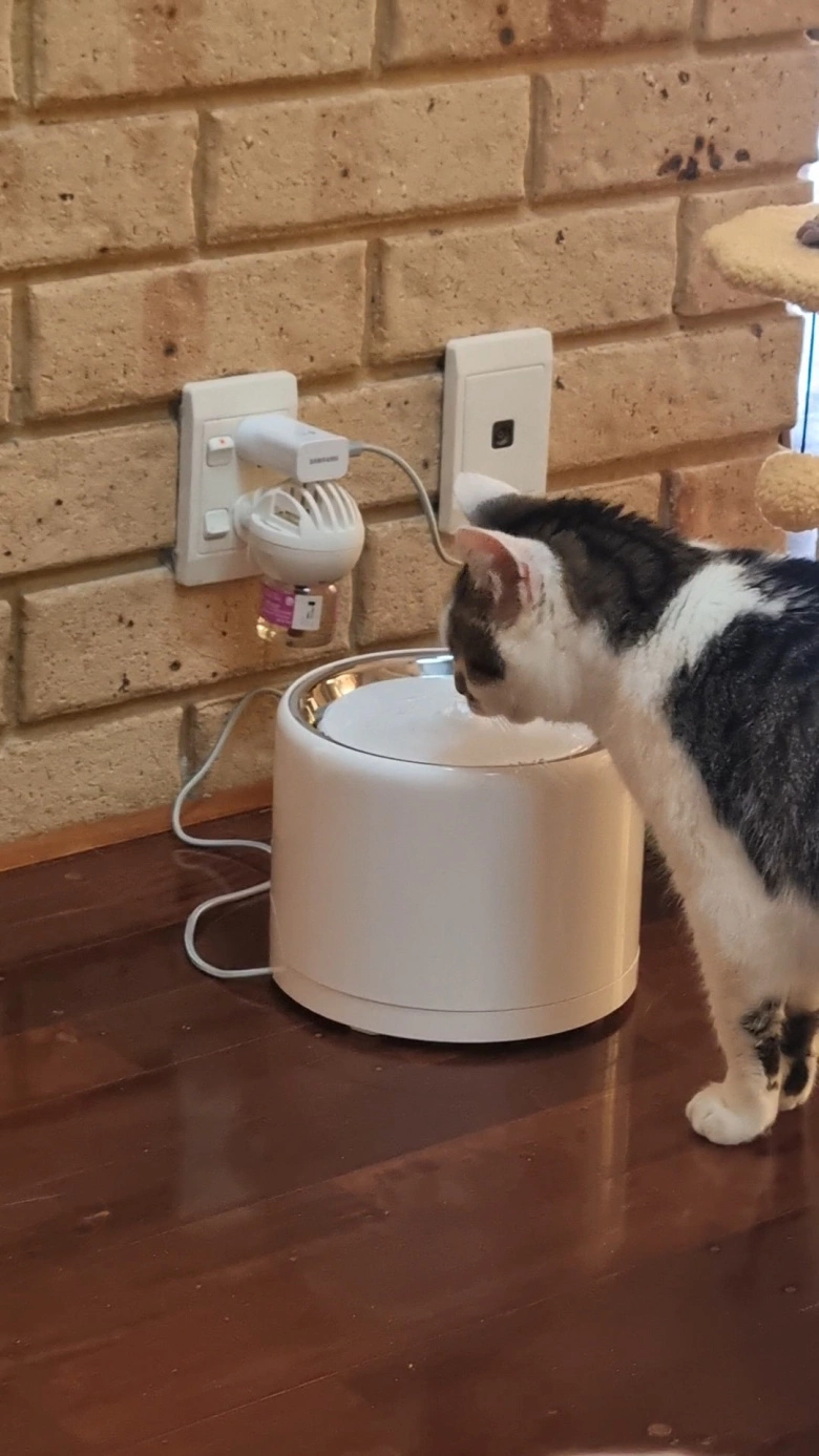 Product Page Review Image