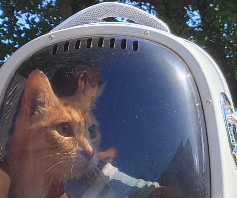 Product Page Review Image