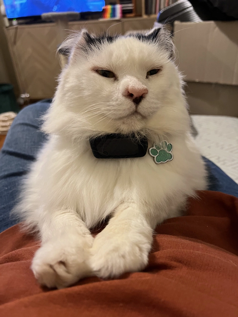 Product Page Review Image