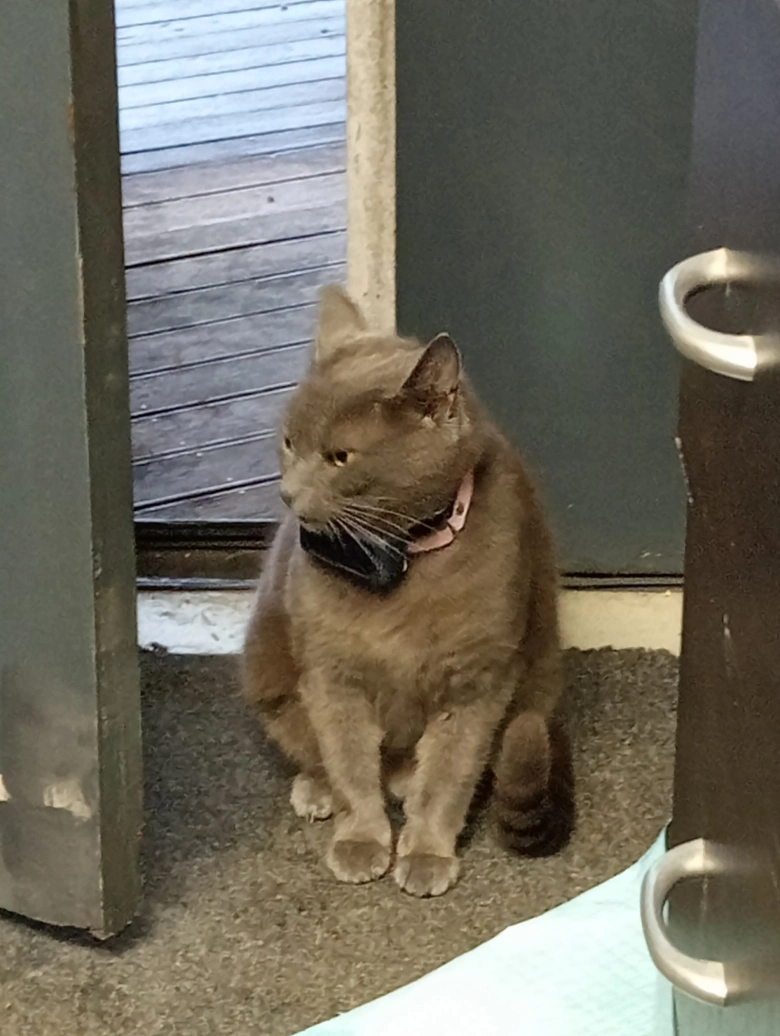 Product Page Review Image