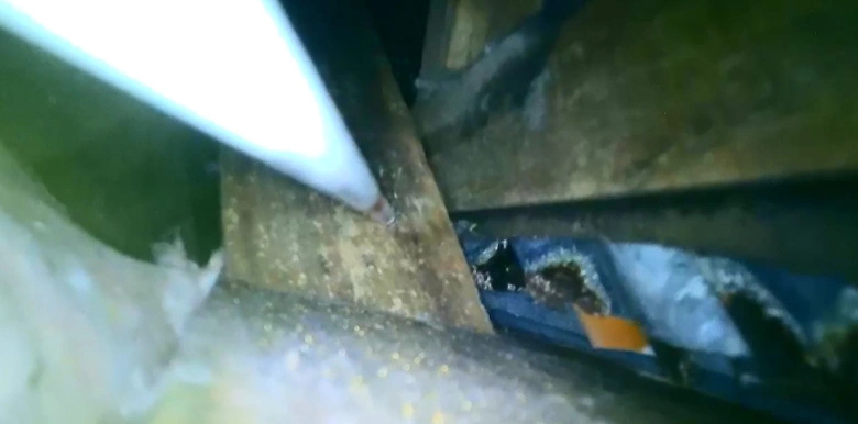 Product Page Review Image