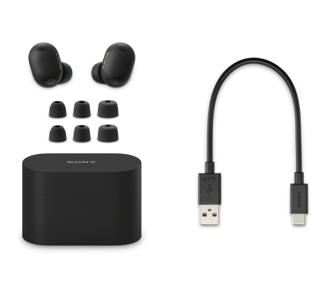 Picture of WF-1000XM6.