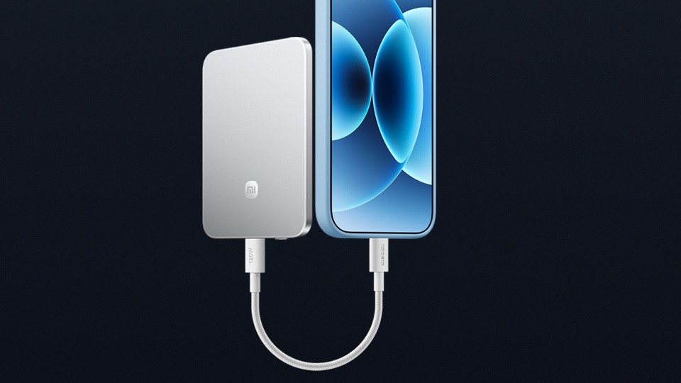 Picture of a power bank.