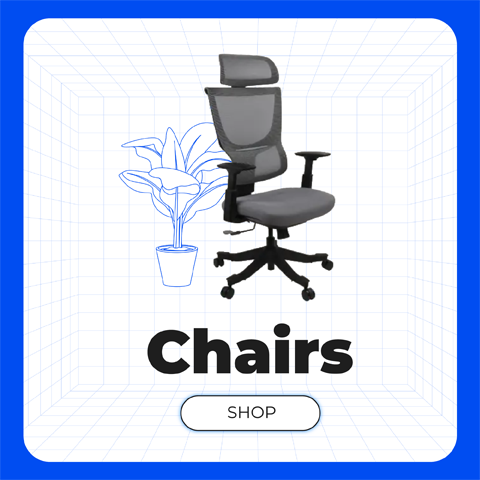FlexiSpot Chairs