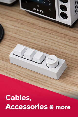 FiiO Accessories