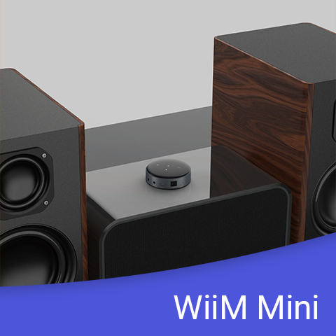WiiM Mini