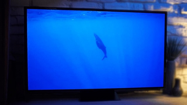 The Samsung OLED S95F (2025) display