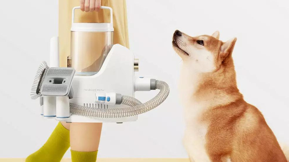 Picture of pet grooming kit.