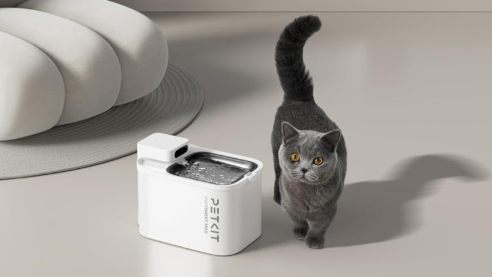 Picture of pet water dispenser.