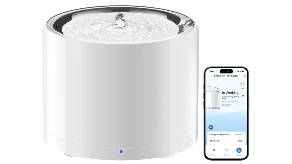 Picture of pet water dispenser.
