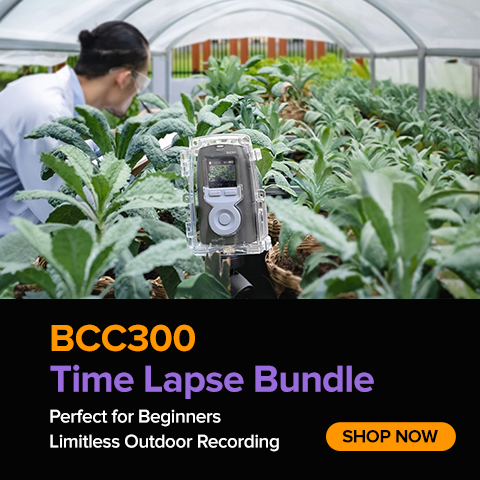 Brinno BCC300
