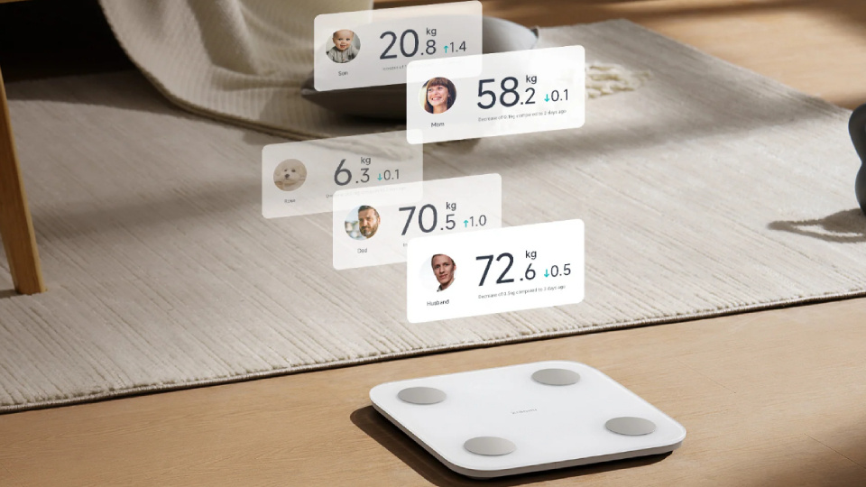 Picture of a smart scale.