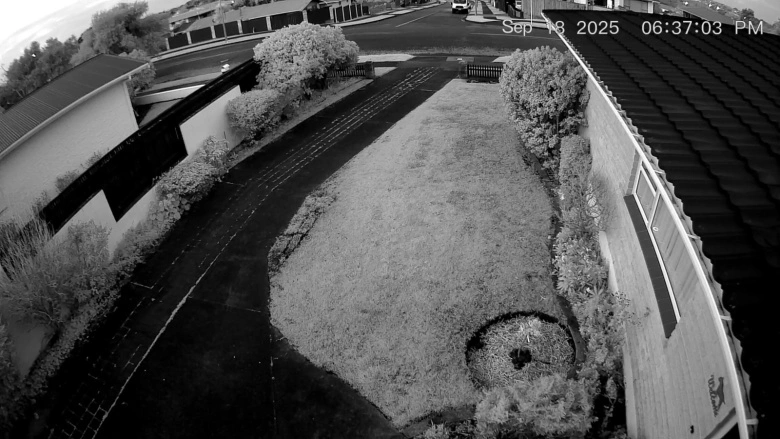 Product Page Review Image