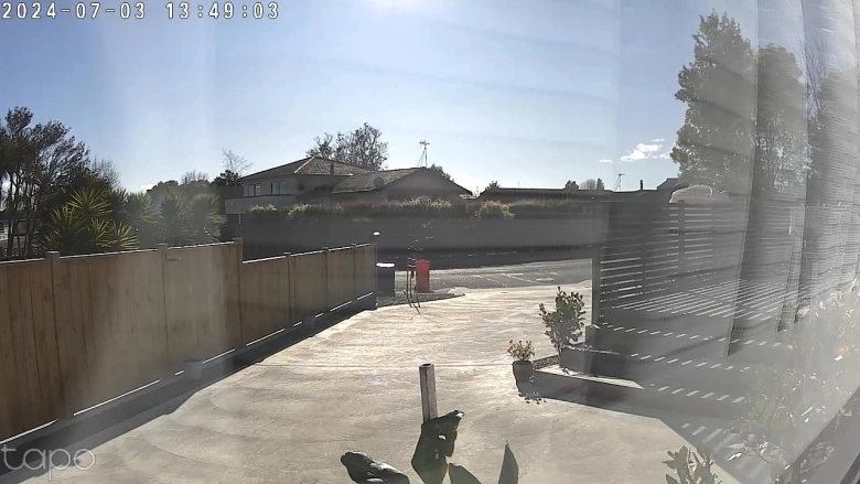 Product Page Review Image