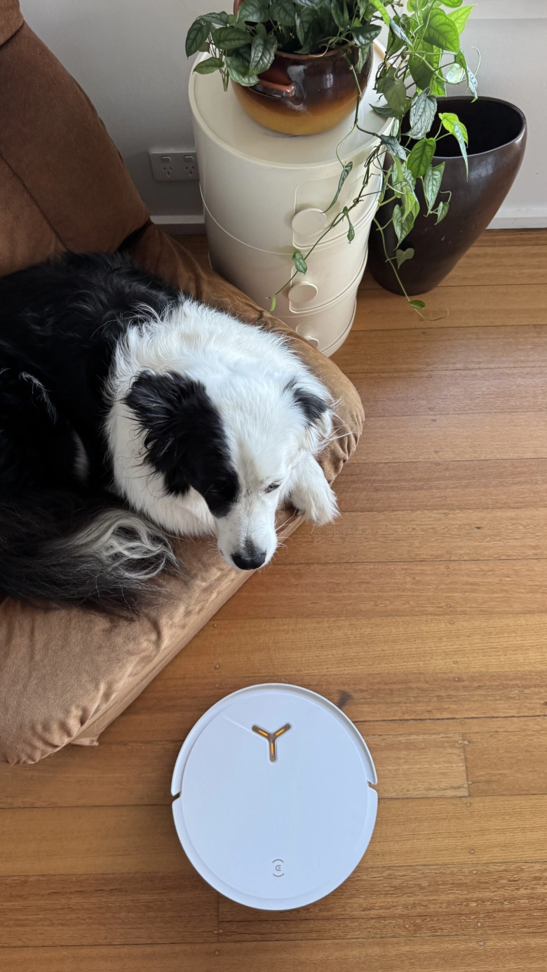 Product Page Review Image