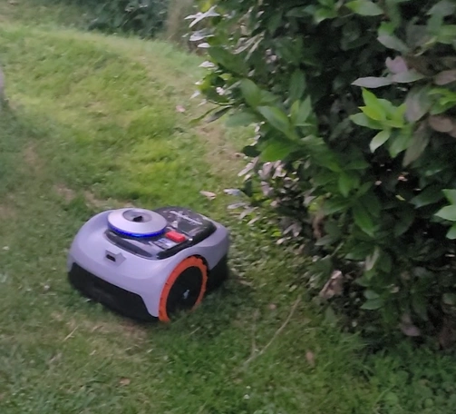 Product Page Review Image