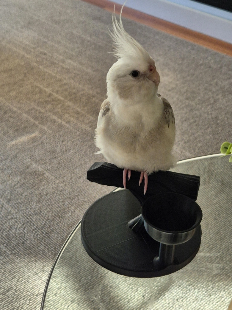 Product Page Review Image