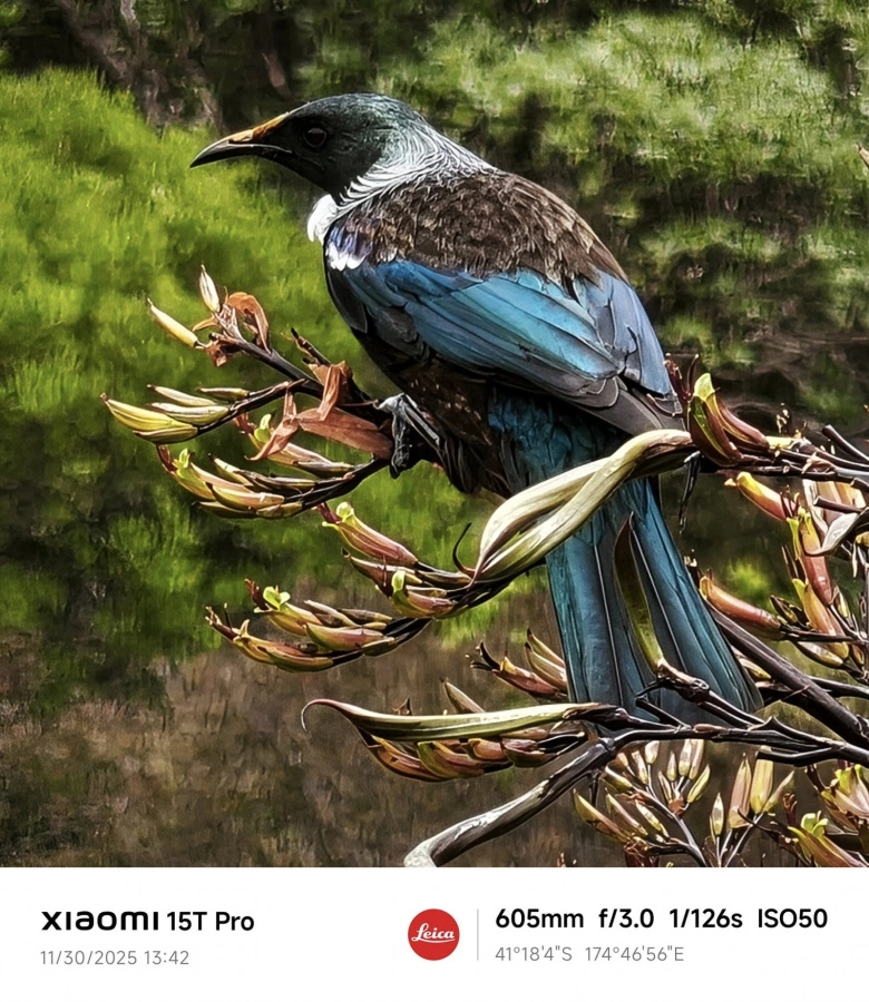 Product Page Review Image