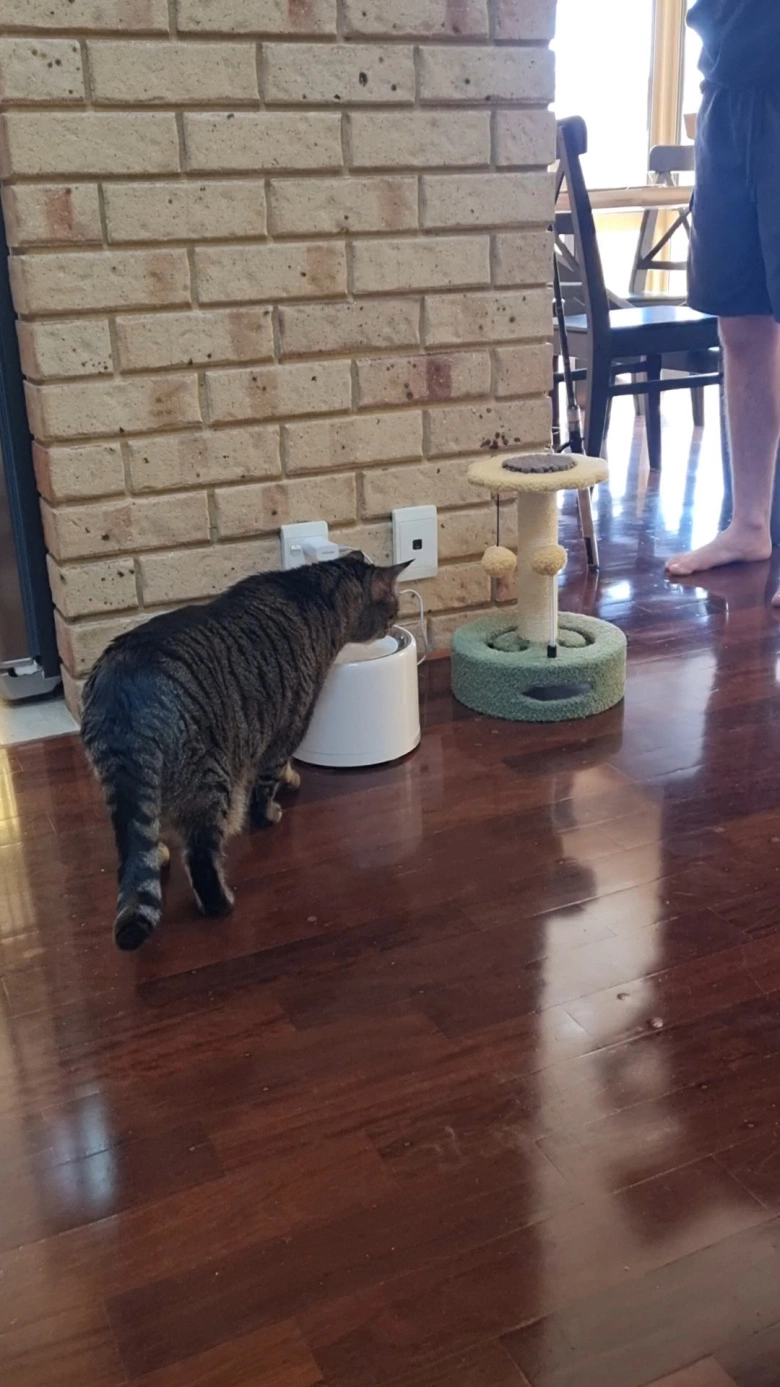 Product Page Review Image