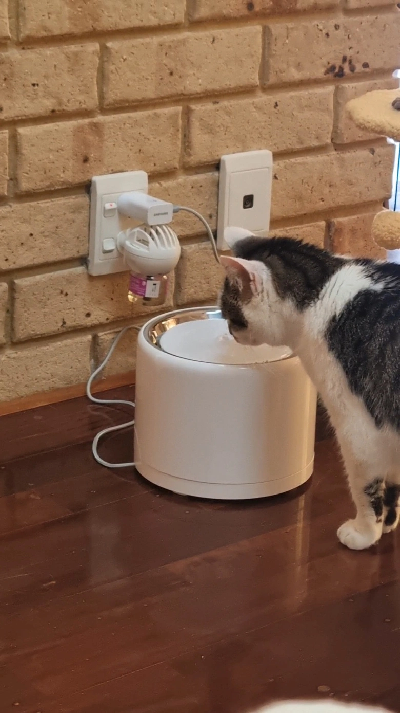 Product Page Review Image