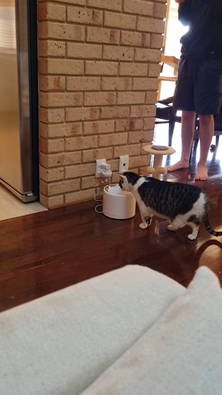 Product Page Review Image