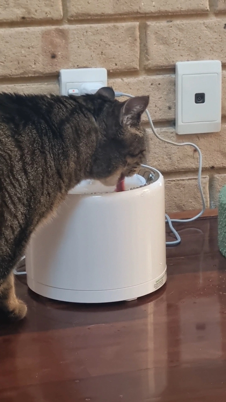 Product Page Review Image