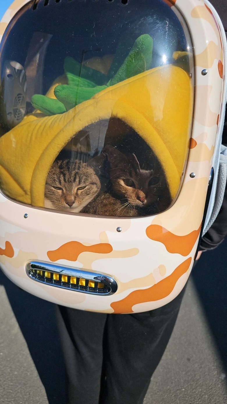 Product Page Review Image