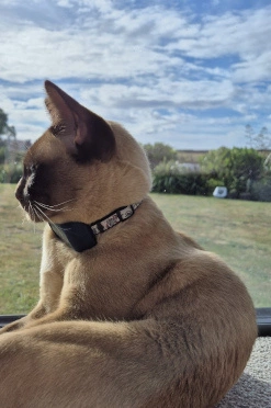 Product Page Review Image