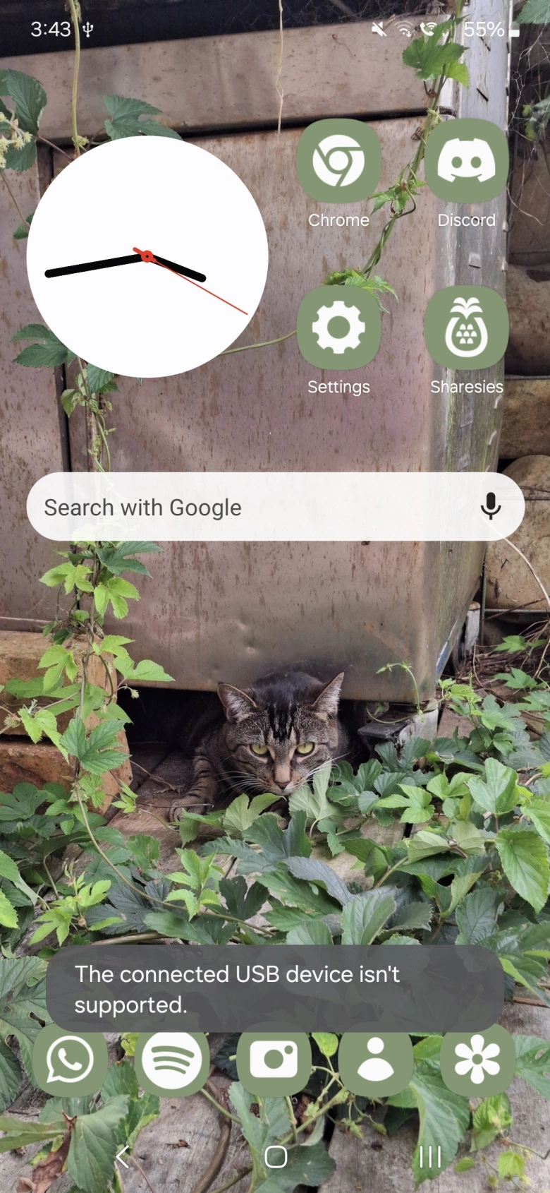 Product Page Review Image