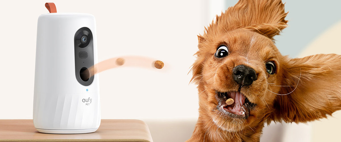 Top Pet Tech Products for Cats and Dogs Hardwired