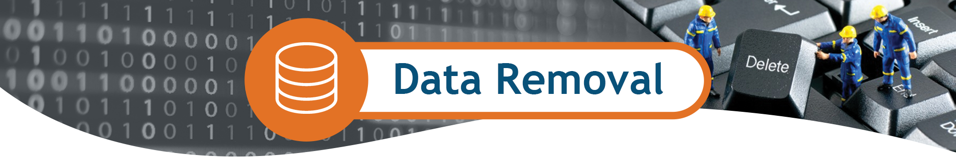 Data Removal